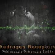Androgen Receptor Sensitivity Subliminal