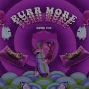 Purr More David Teie