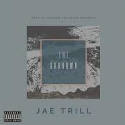 Jae Trill The Unknown