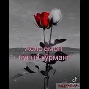 Яхши Кунлар Хали Олдинда