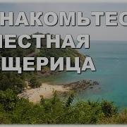 Тайланд Тайская Ящерица