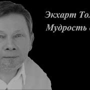 Экхарт Толле Сила Момента