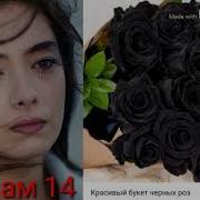 Шон Мс Садбарги Сиёх