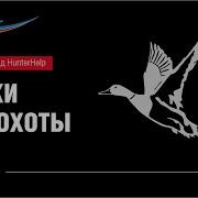 Электронные Манки Для Охоты Hunterhelp
