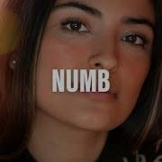 Braaheim Level 8 Numb