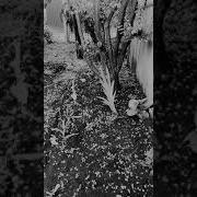 Ах Астахова Вспоминая Детство