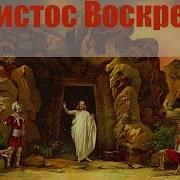 Вы Слышали Как Утром Пели Птицы