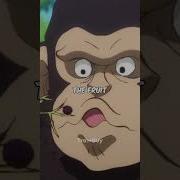 Monkey D Luffy