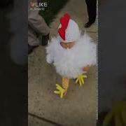 Смешной Цыпленок Funny Chick
