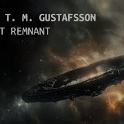Robert T M Gustafsson