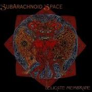 Doomed Megalopolis Subarachnoid Space
