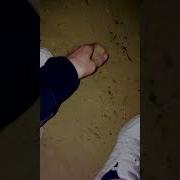 Прикол Говно В Руки Взял