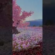 اللهم صل على نبينا محمد عدد ما ذكره الذاكرون وعدد ما غفل عن ذكره