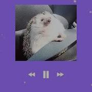 Песня Для Уборки Ёжык