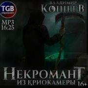 Некромант Из Криокамеры Том 3 Владимир Кощеев