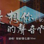 是想你的聲音