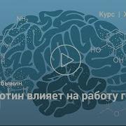 Вячеслав Дубынин