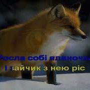У Лісі Лісі Темному Мінус Караоке