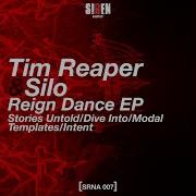 Intent Tim Reaper Silo