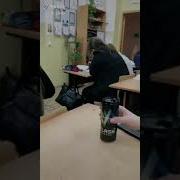 Солнышко Проснулось Новый День На Дворе Можно Мне Умереть