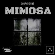Conrad Subs Mimosa