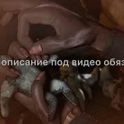 Рукъя От Узлов