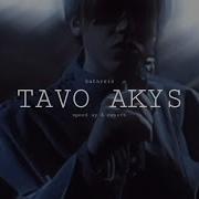 Katarsis Tavo Akys Speed Up