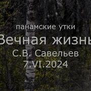 С Савельев Вечная Жизнь