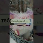 Бесим Подругу 1 Часть