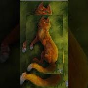 Коты Воители Огнезвёзд И Пестролистая