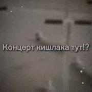 Концерт Кишлака Тут Жители