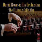 Walk On The Wild Side David Rose And His Orchestra