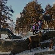 Песни Гилевская Роща